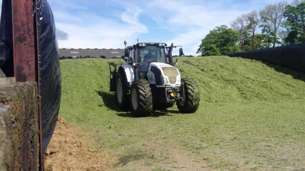 Silage 2013. Valtra T203 Direct buckraking