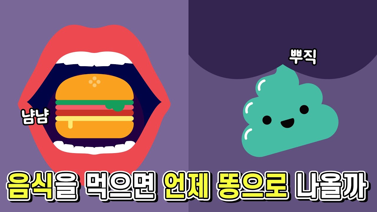 오늘 먹은 음식은 언제 똥이 되어 나올까