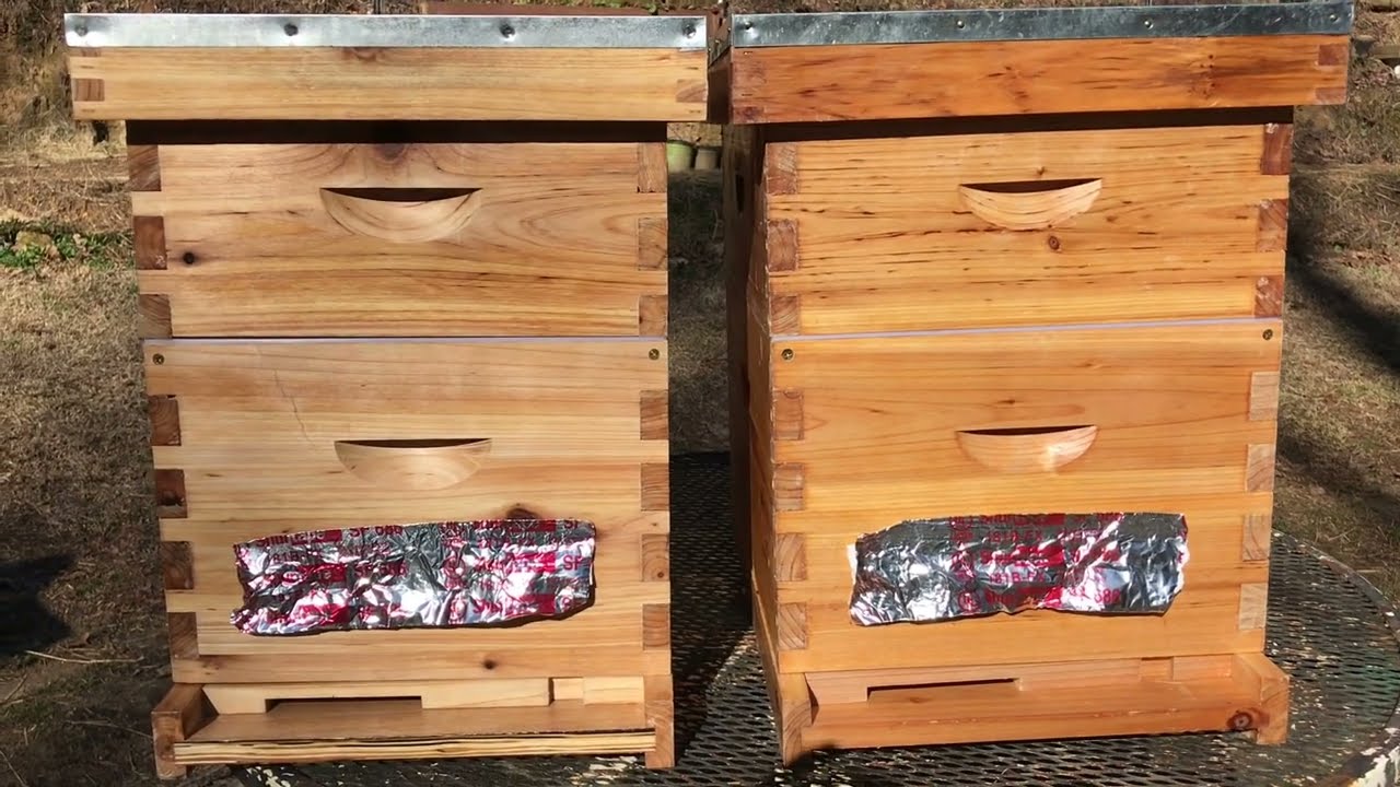 CHEAPEST BEE HIVE ON AMAZON-review