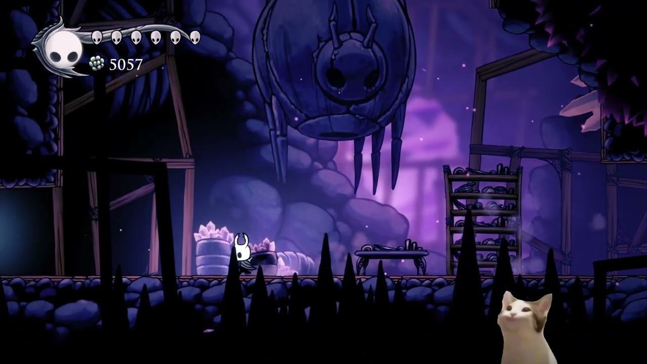 january 23 2026 - hollow knight