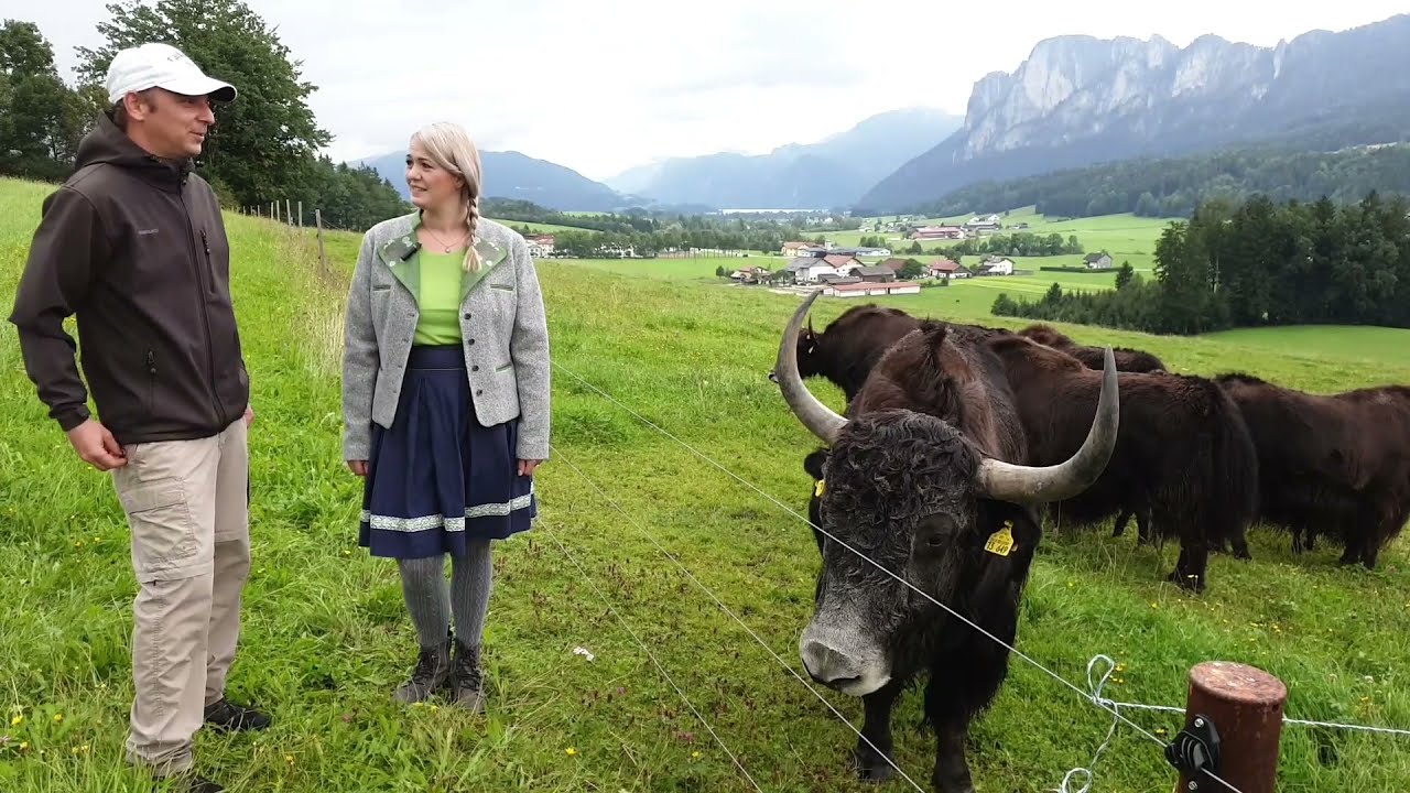Gut zu wissen - Nachhaltig im MondSeeLand, Teil 20 - Edinger Hof