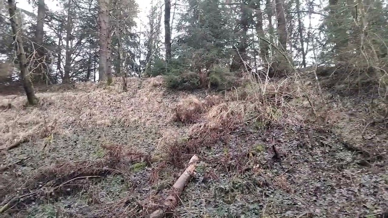 Ehemalige Bahnstrecke zwischen Hillesheim und Birgel - Vulkaneifel Winter 2026