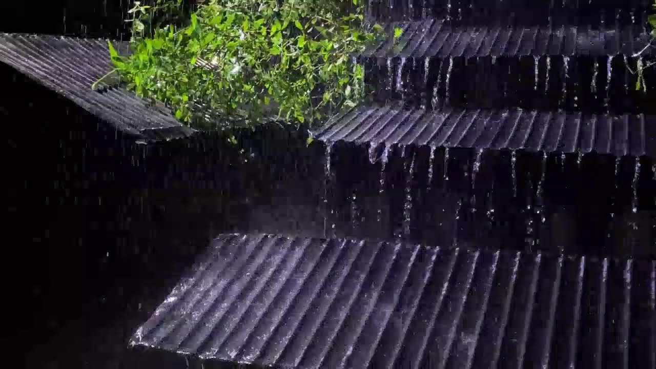Sleep Fast Tonight | Heavy Rain on Tin Roof with Thunder Echoes
