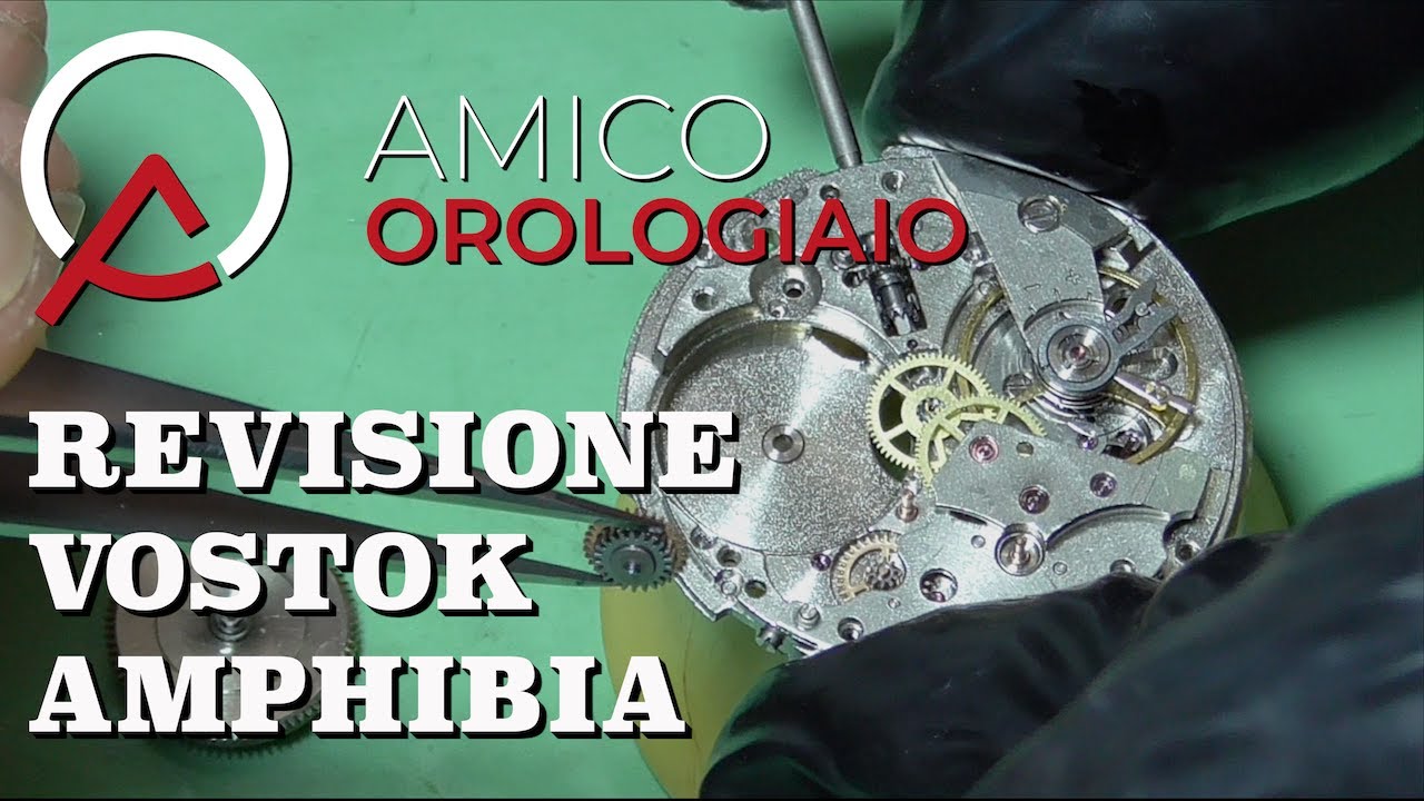Revisione Vostok Amphibia How To Service