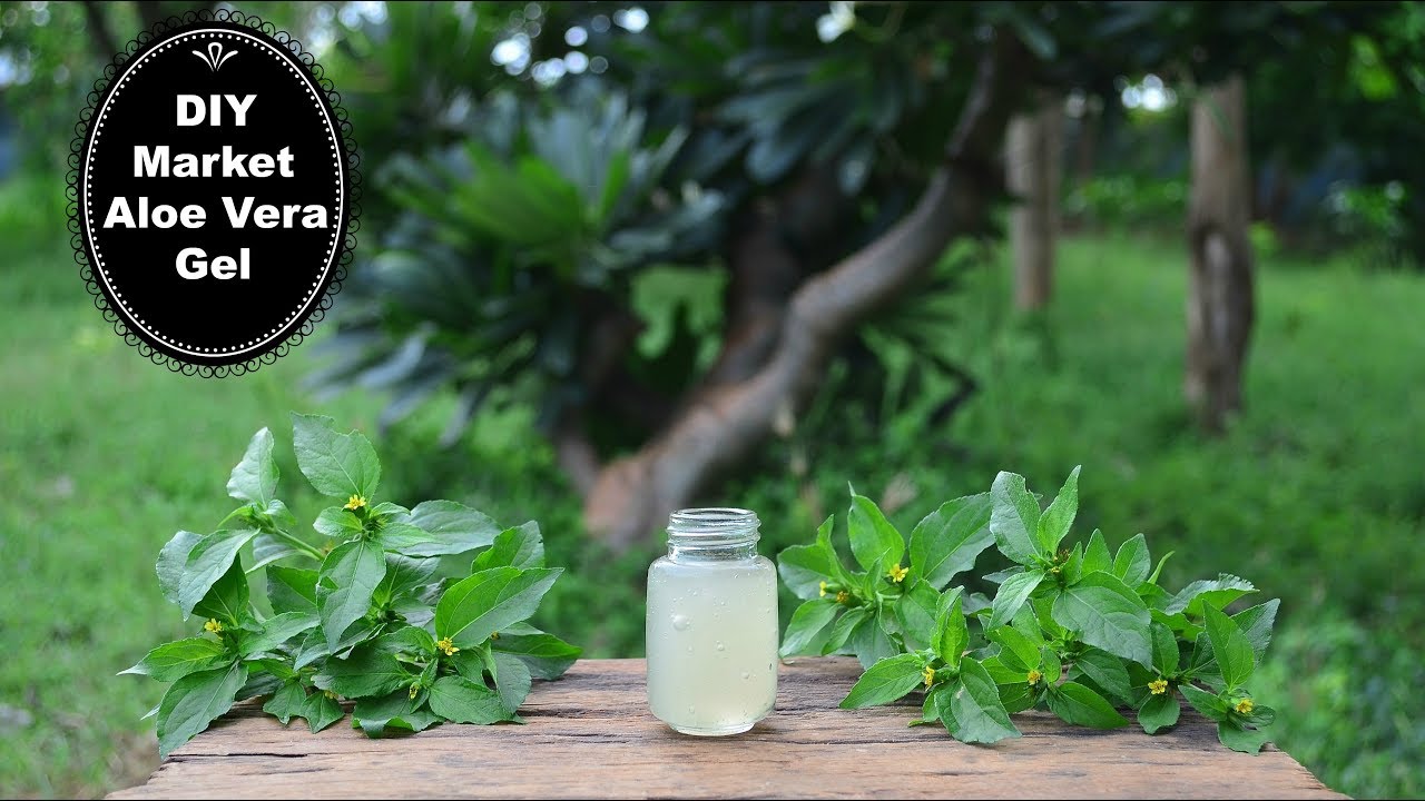 Make Aloe Vera Gel Exactly Like We Get In The Markets !!!