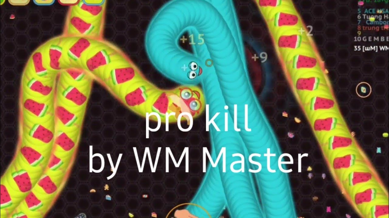 wormate Io. The pro kill by WM Master