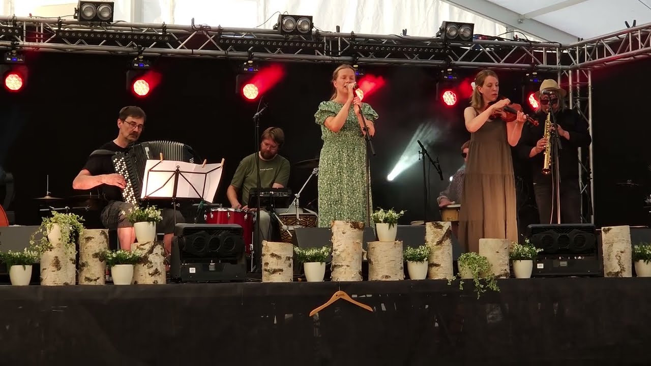 Anis Kiitu - Hiljaa (Siilifolk 2024)