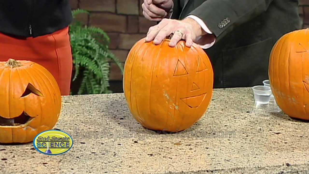 Exploding Pumpkins - Cool Science Experiment