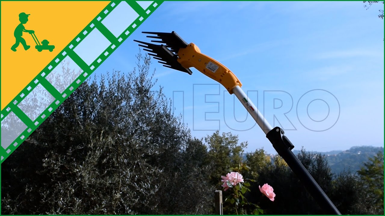 Montaggio e funzionamento Abbacchiatore elettrico a batteria Volpi Olytech Dualcomb 13 asta 200-290