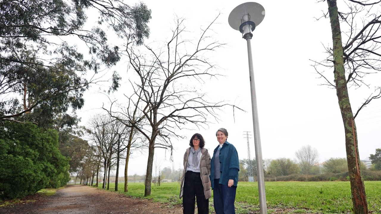 Pontevedra estrea na Xunqueira da Gándara unha iluminación LED máis respectuosa coa fauna