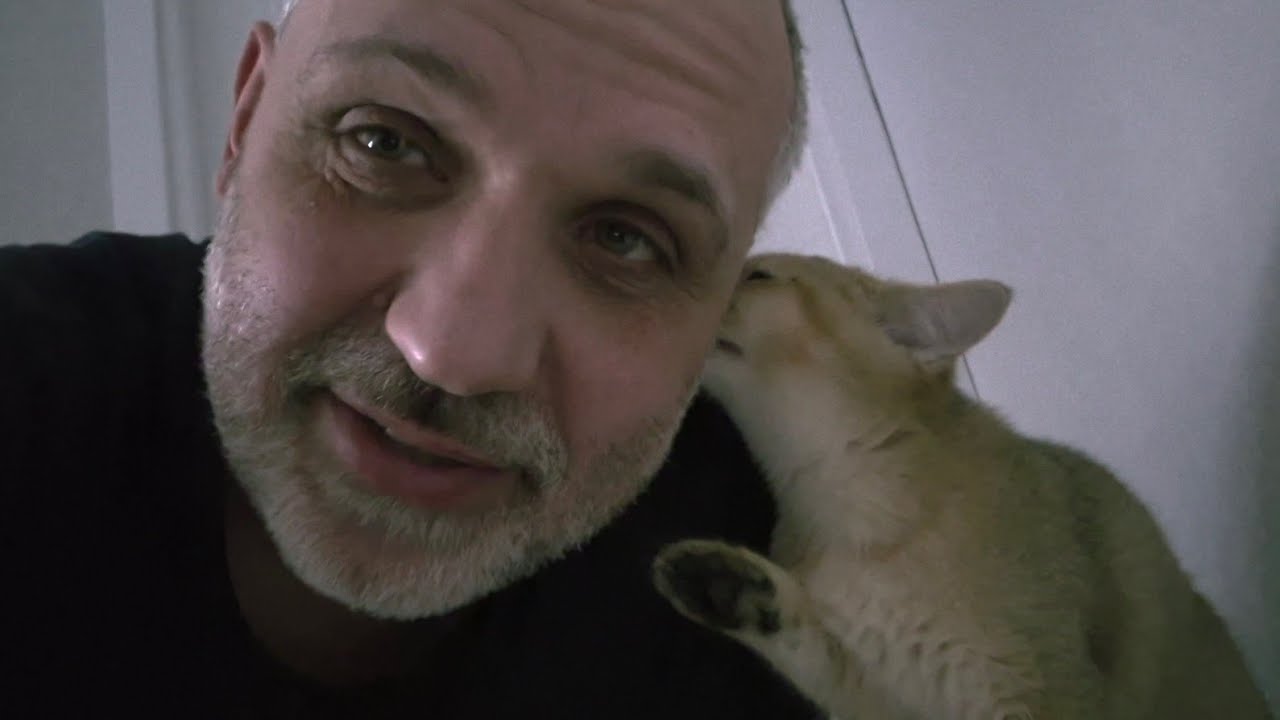 Можно ли забрать нашего котёнка в Европу?