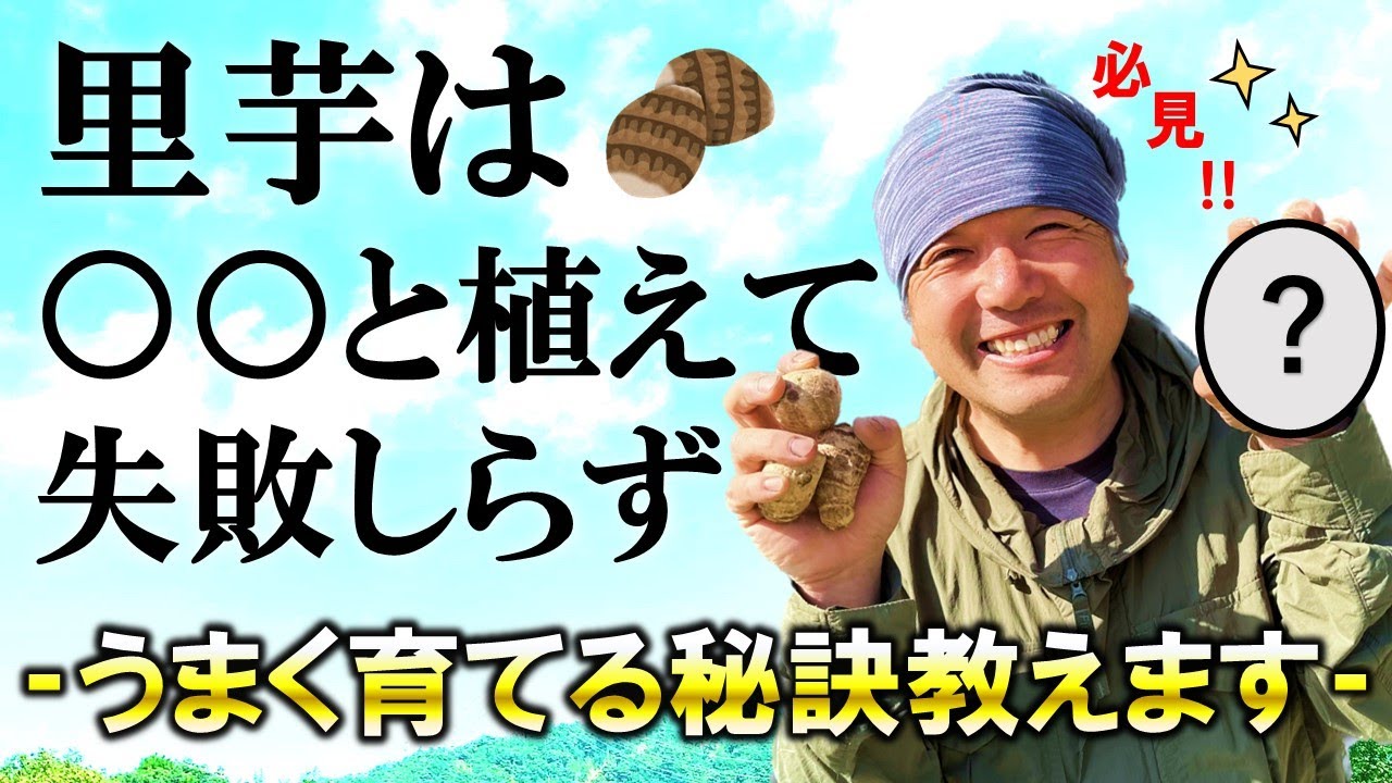 里芋は〇〇と植えて失敗知らず～うまく育てる秘訣教えます～
