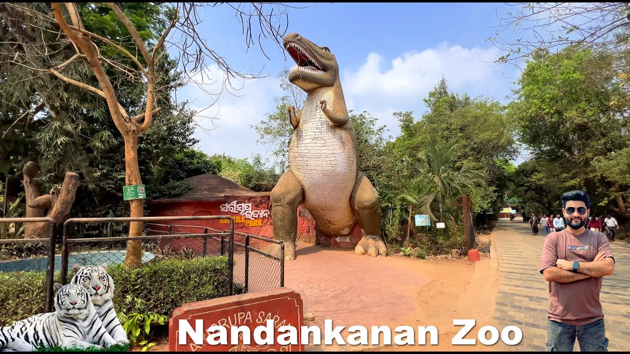 Bhubaneswar to Cuttack | Nandankanan Zoological Park | Cuttack Tour