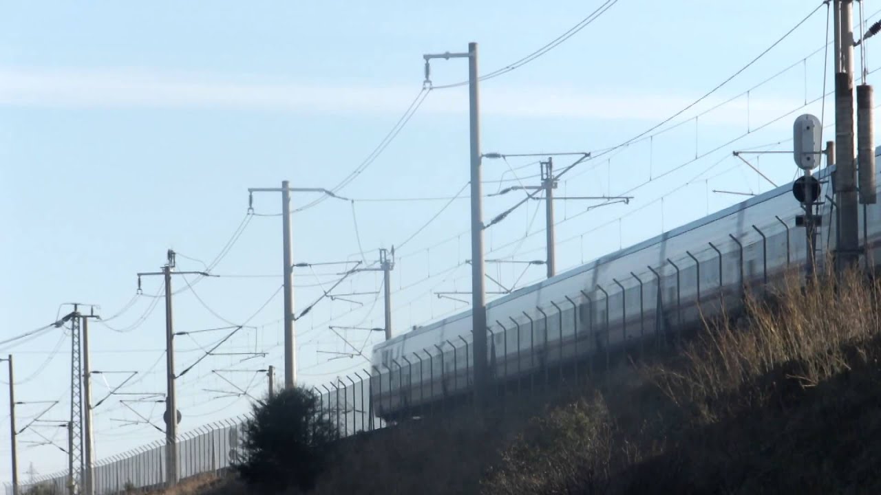 Renfe Pitadas VIII