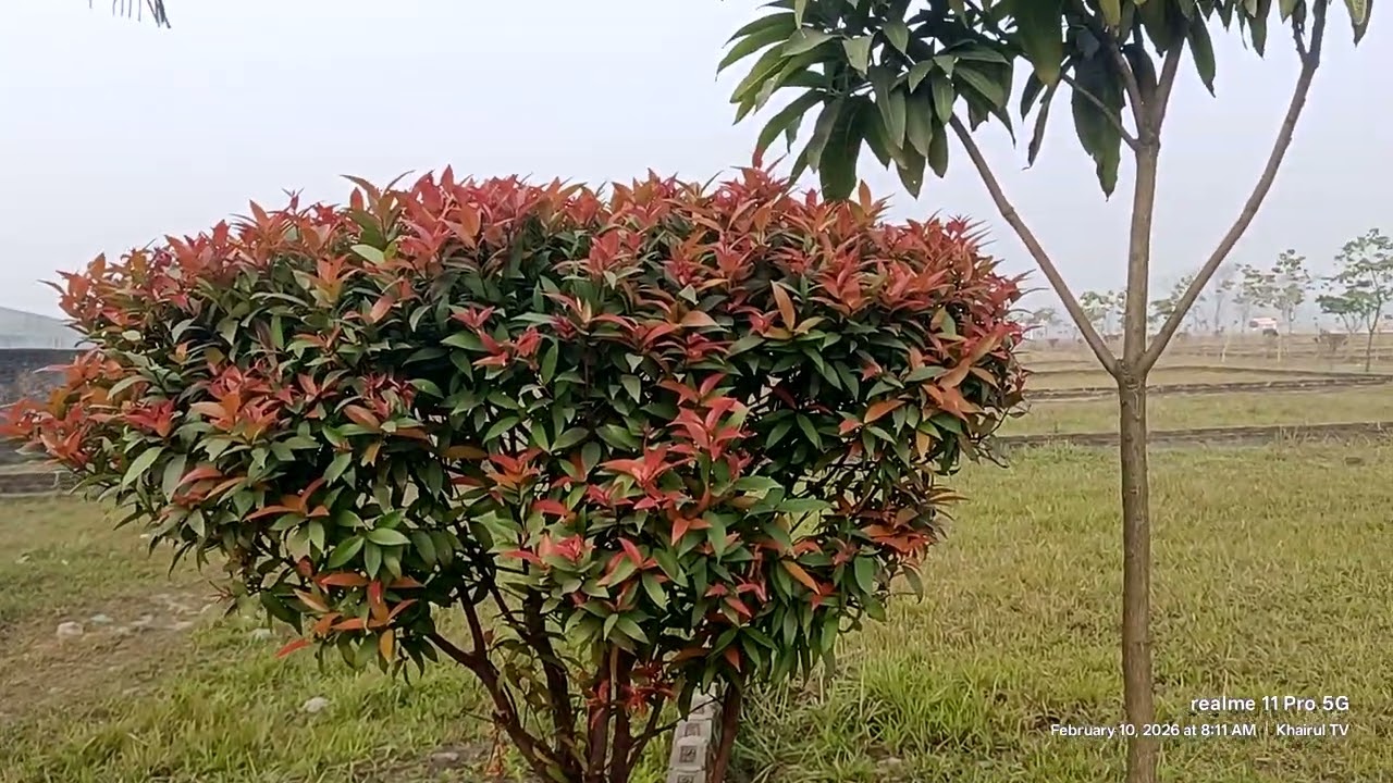 নর্থ সাউথ গ্রীন সিটি 