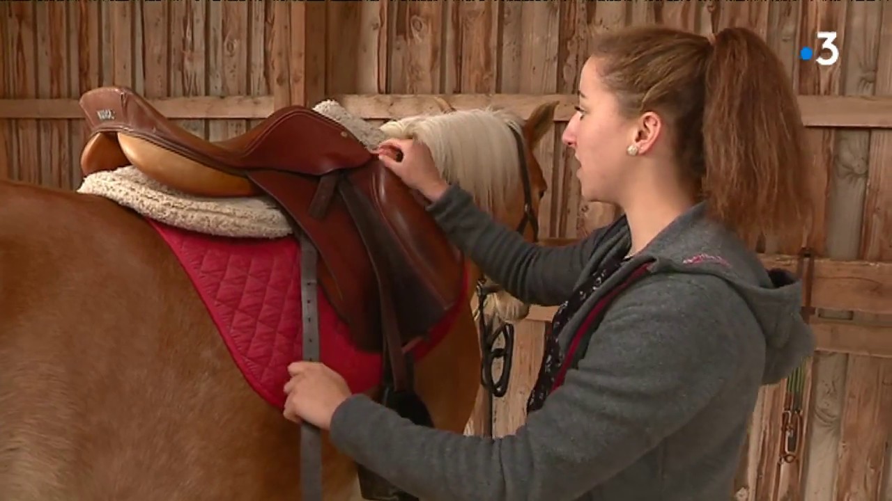 Education : en immersion dans la Maison Familiale Rurale d'Etang-sur-Arroux