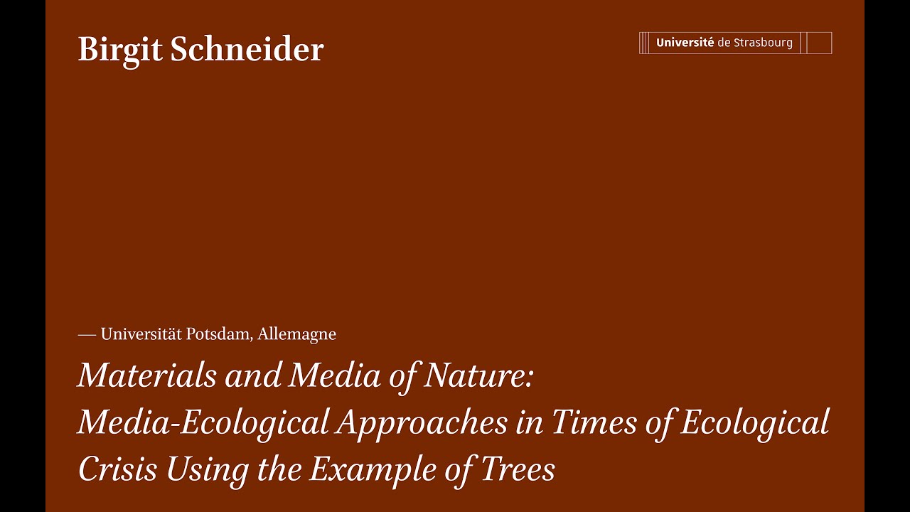Materials and media of nature, Birgit Schneider
