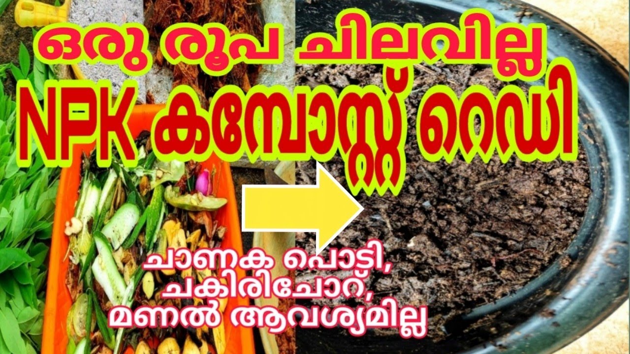 ഈ കമ്പോസ്റ്റ് ഒരു പ്രാവശ്യം ഇട്ടാൽ 100 മേനി വിളയും | How To Make Magic Compost