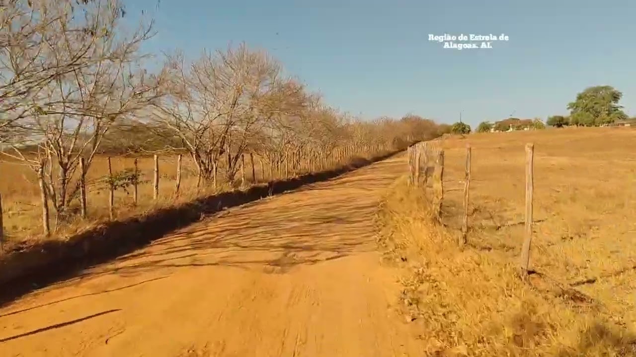 Aqui é só tranquilidade região de Estrela de Alagoas. AL. 17/02/2026