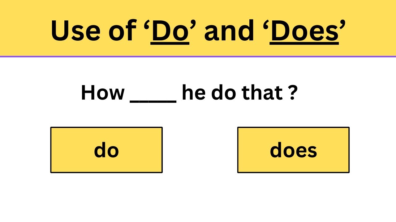 Use of 'do' and 'does' - Part 4 | English Grammar Quiz