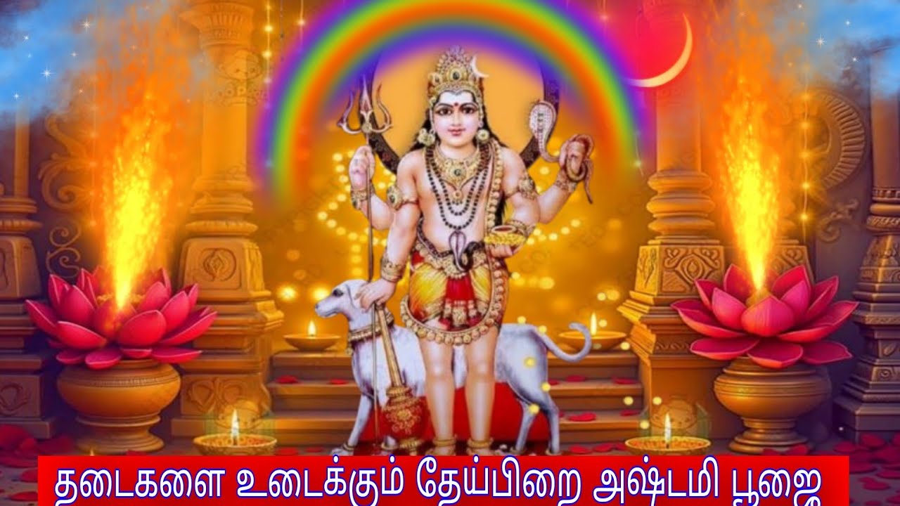 தேய்பிறை அஷ்டமி பைரவர் தரிசனம்