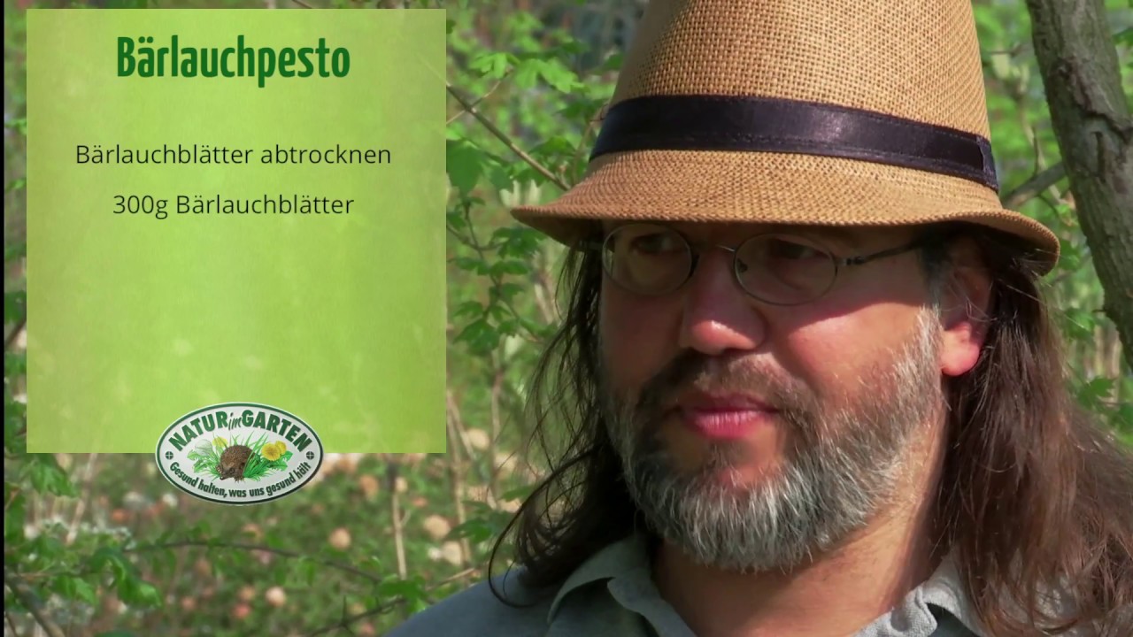 B&auml;rlauch gefahrlos ernten