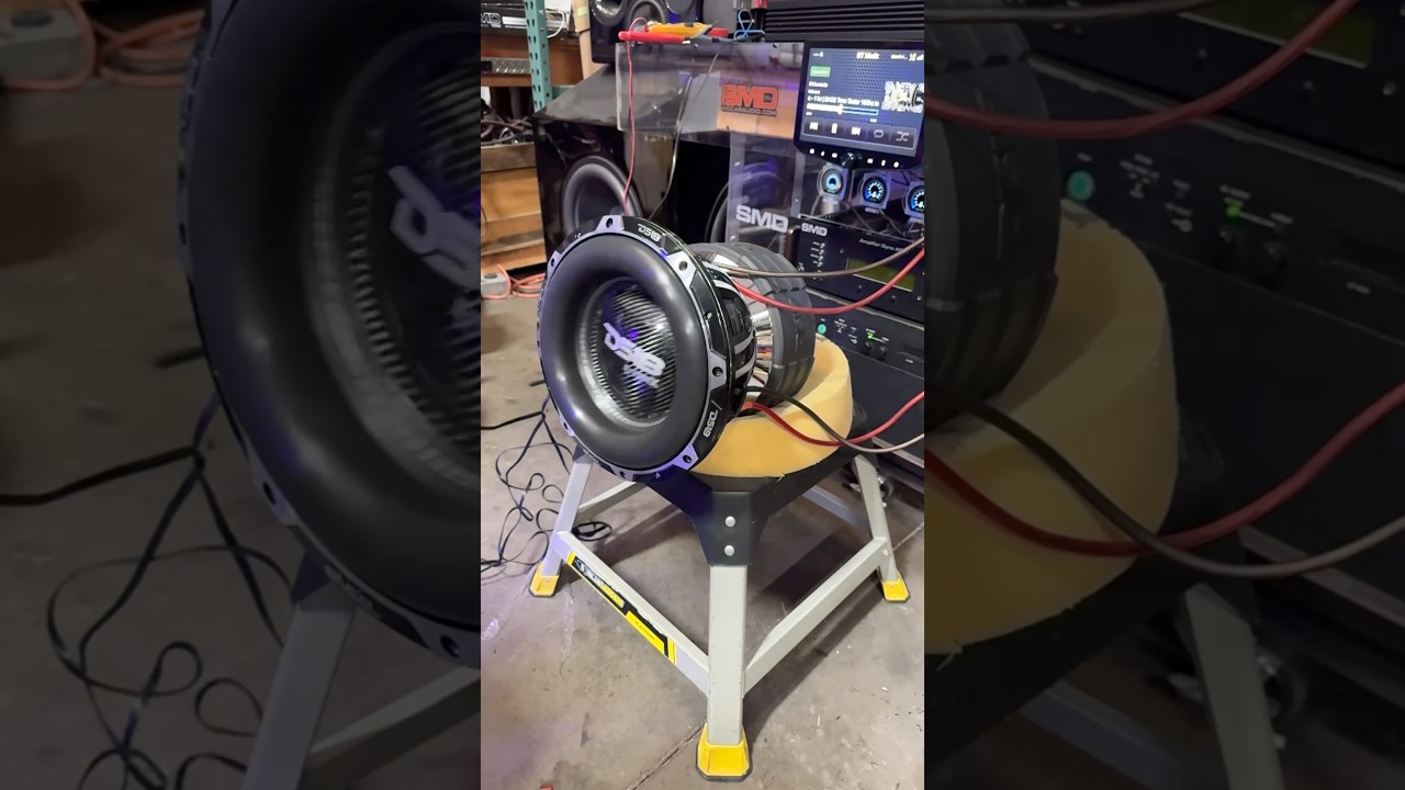 Woofer flex Wednesday 🔊 DS18 Hooligan high excursion 12