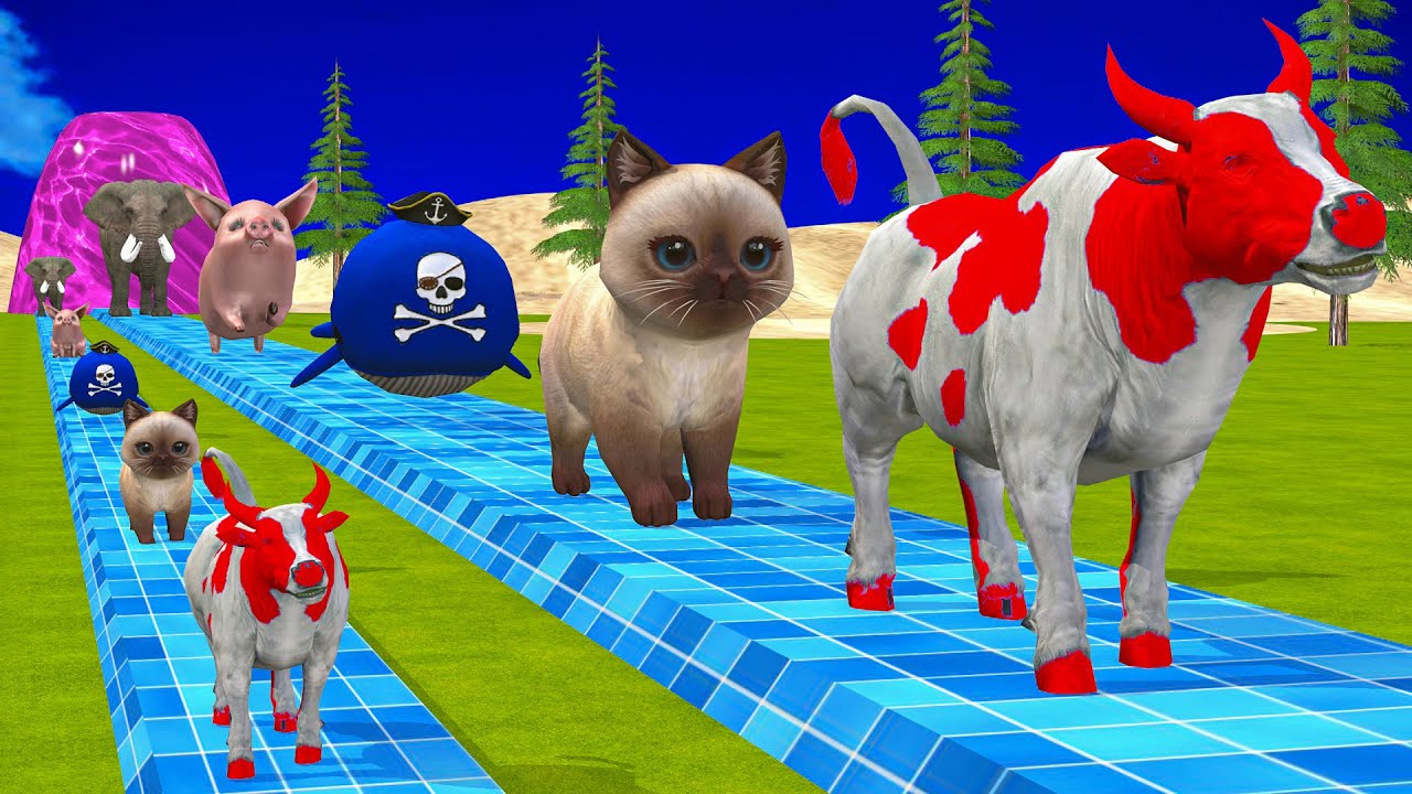 Long Slide Game With Elephant Gorilla Buffalo Hippopotamus Tiger 3d Animal Game Funny 3d Animals