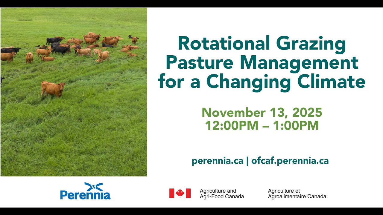 Rotational Grazing Pasture Management for a Changing Climate with Dr. Nancy McLean