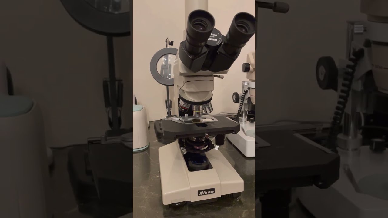Nikon Labophot 1 Trinoküler Mikroskop