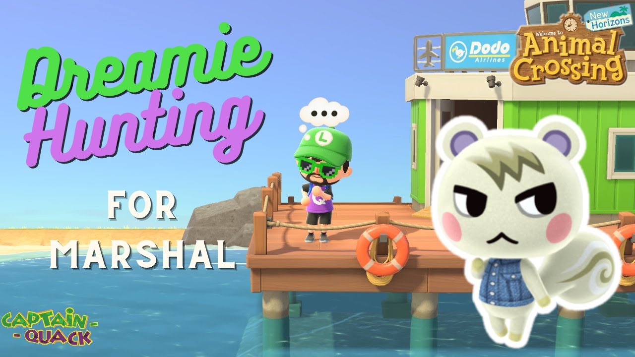 Dreamie Hunting for Marshall!