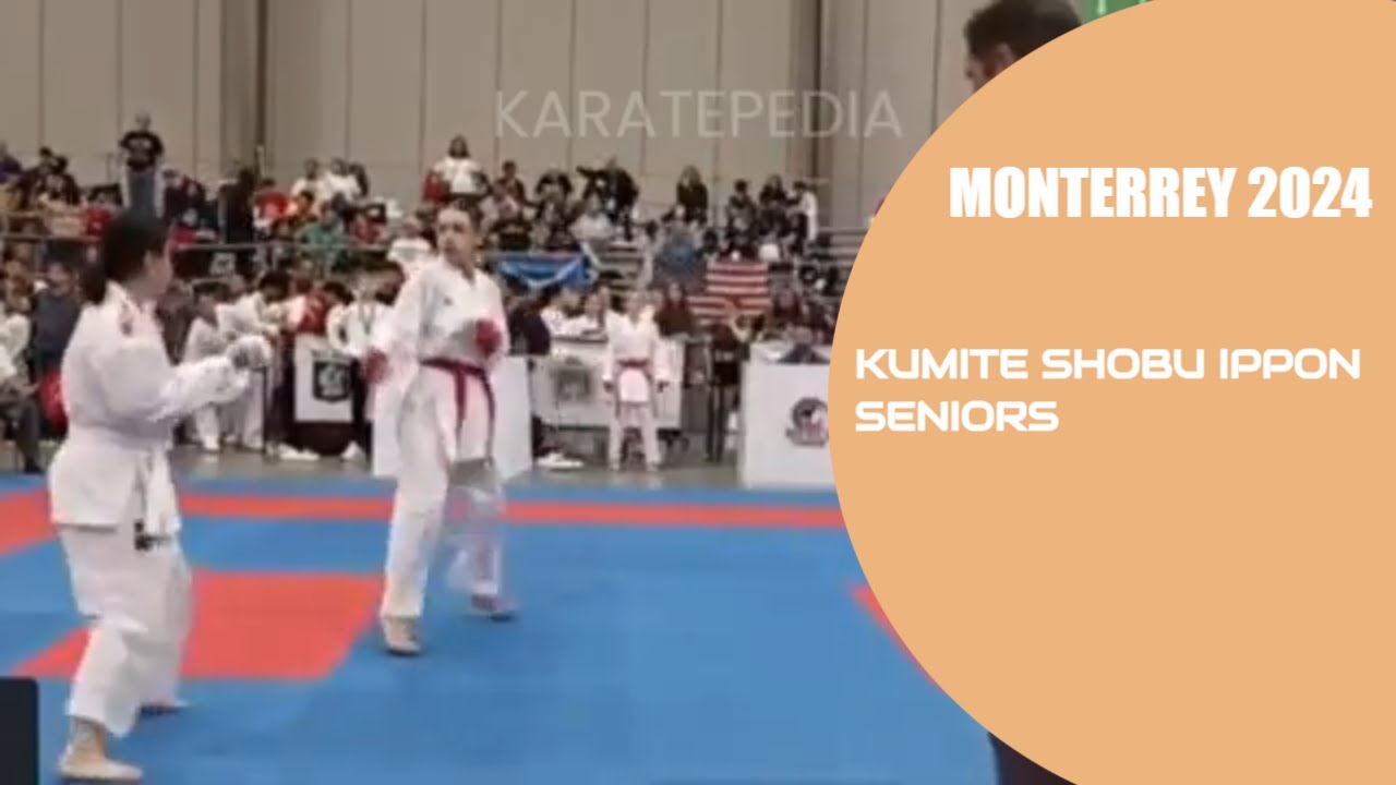 Kumite Highlights -  WUKF World Karate Championships 2024 #wukf
