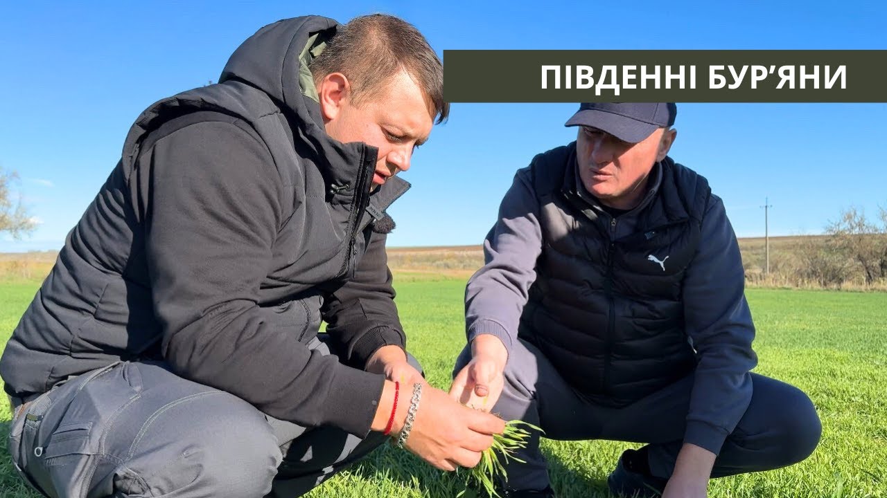 # 285 Агрооб’їзд Півдня: з Сергієм Суровим досліджуємо бур’яни та технології контролю Ріпак, пшениця