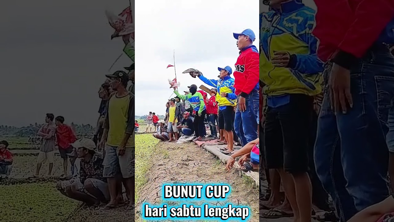 KESERUAN LAPAK BUNUT CUP hari sabtu 21-02-2026#bunutcup #merpatibalapsprint #merpatibalapnasional