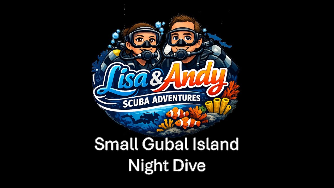 Red Sea Liveaboard 2026 Pt 7 - Small Gubal Island Night Dive