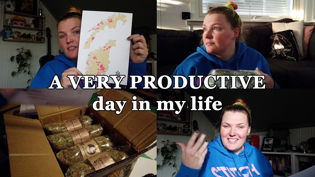 A Day In My Life As A Small Businuss Owner And Freelancer | Packing orders, unboxing new inventory++