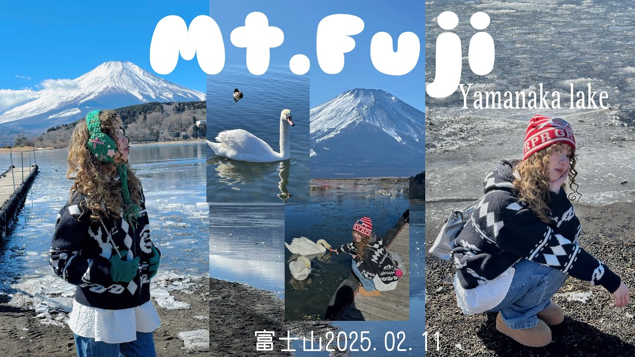 |Mùa đông ở Phú Sĩ 🗻🦢| Mt.Fuji in winter