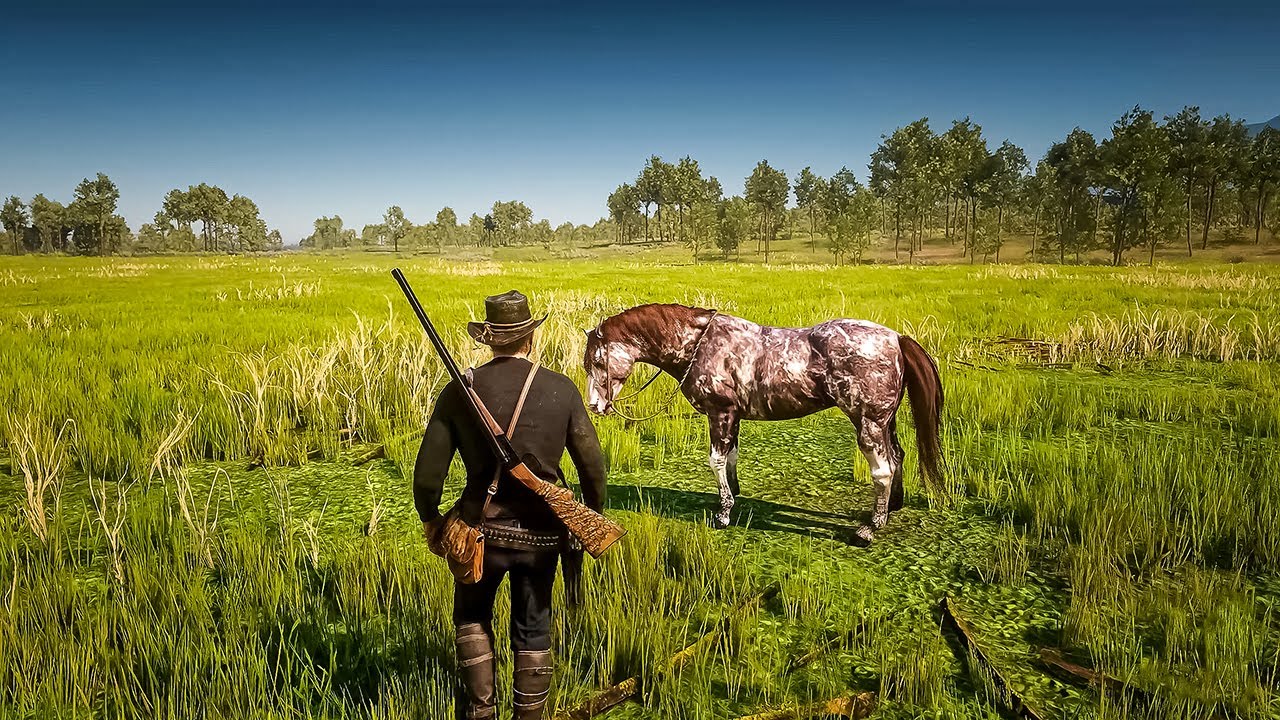 12 Fastest Horse Speed Test  in RDR2