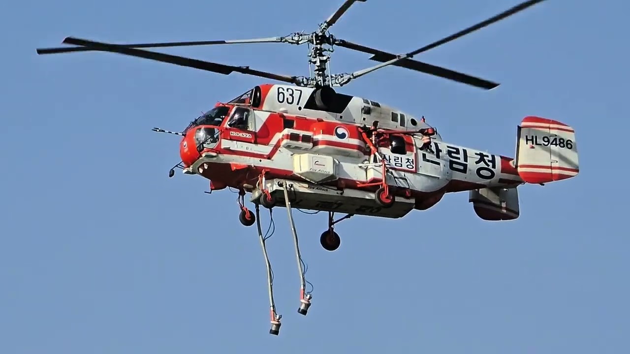 2025년 4월 12일