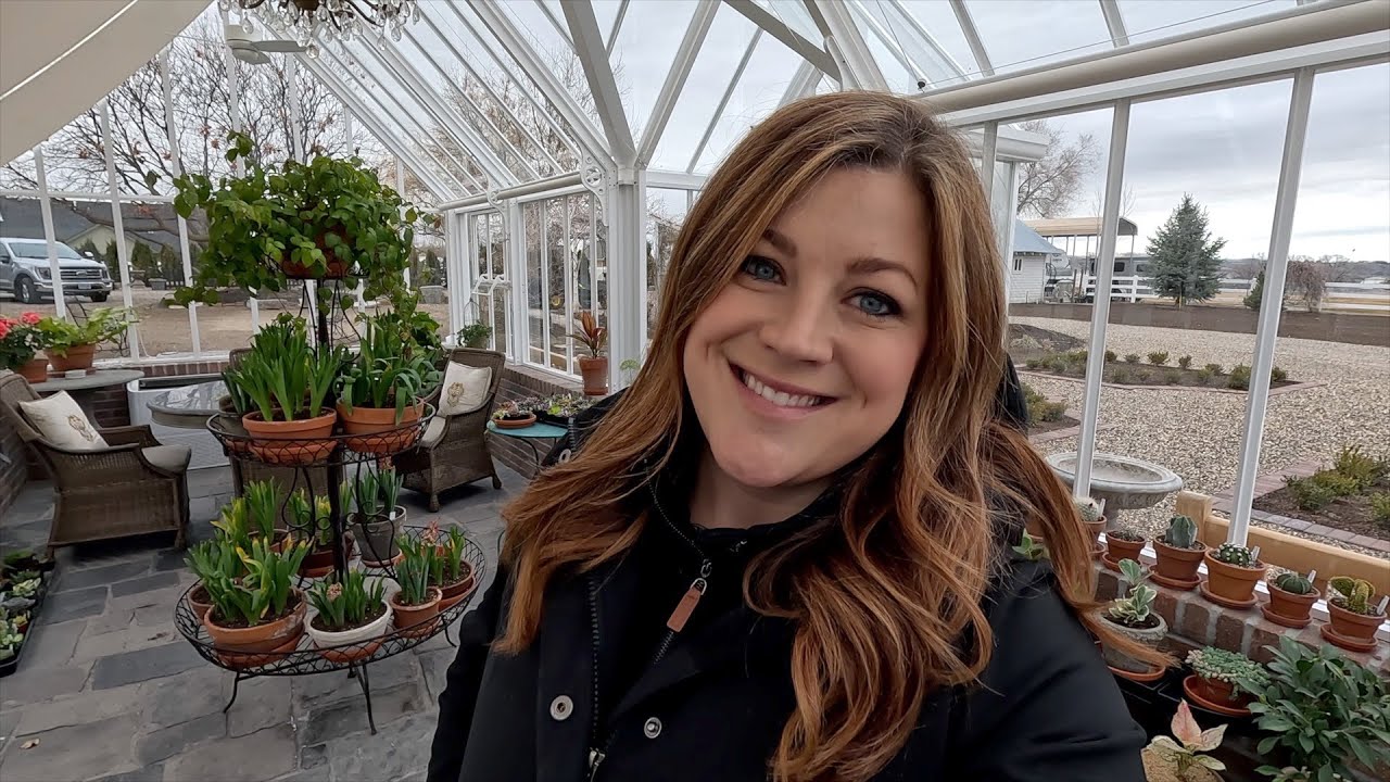 Potting Up Geranium & Lettuce Seedlings + Seedling Tour! 🌿🌱🌿 // Garden Answer