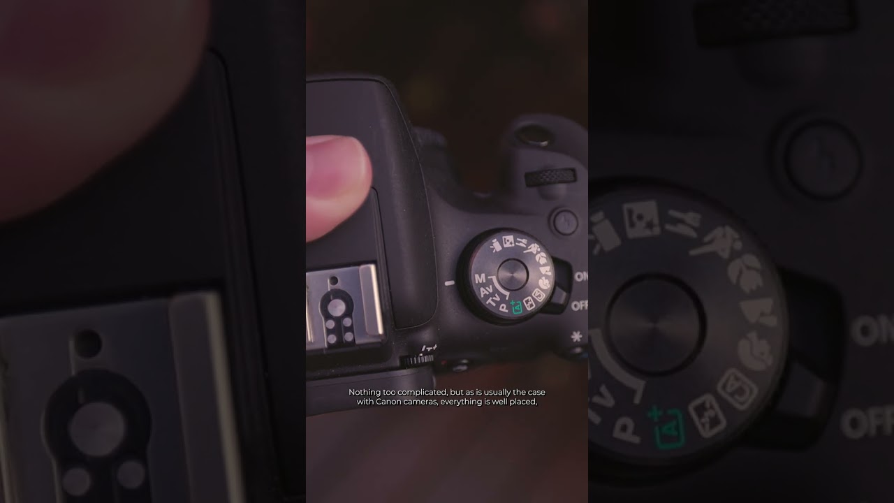 Is the Canon 2000D Easy to Use?