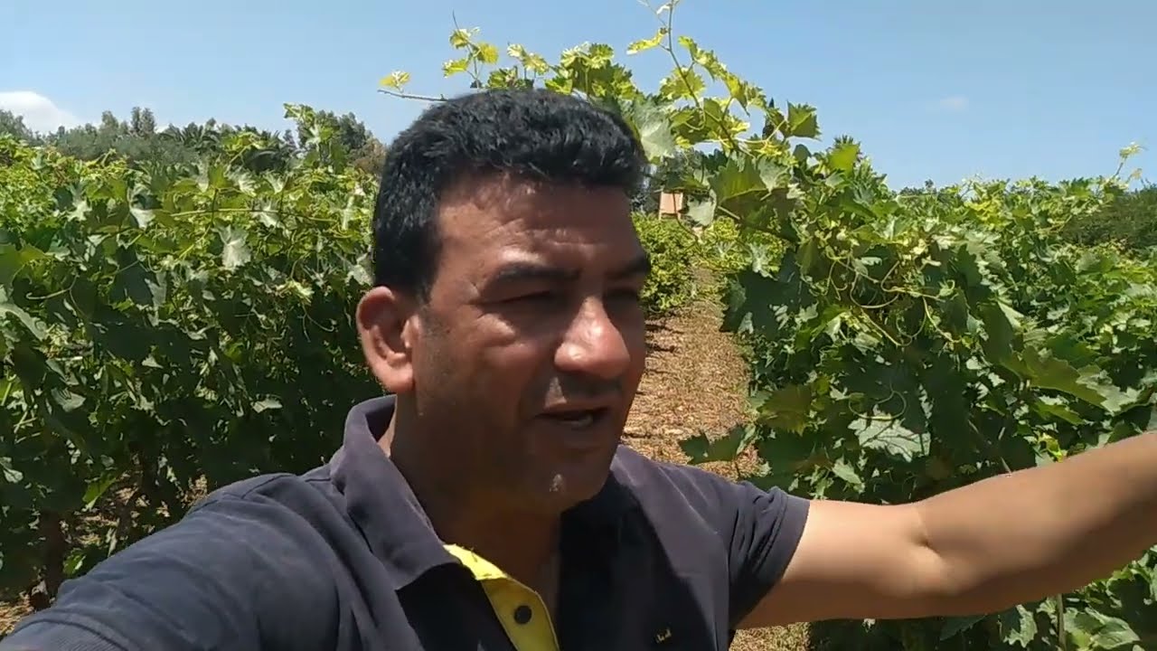 ضيعة للبيع بعين تاوجطات  7،5 فيها (فيلاة )(كوارى)(كولها عنب)(الماء موجود)(الزيتون)(الرمان)0613547341