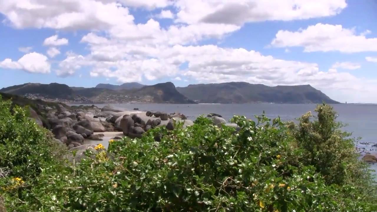 Wheelchair access Boulders Beach South Africa