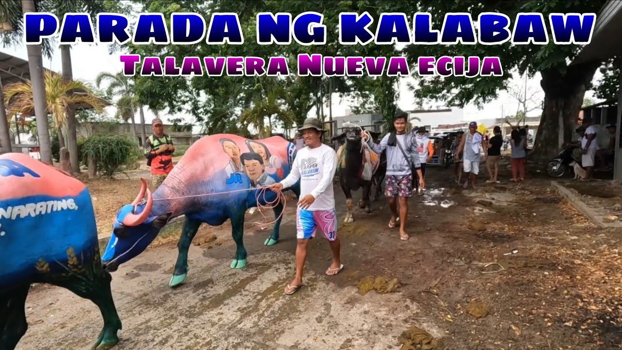 Talavera carabao parade