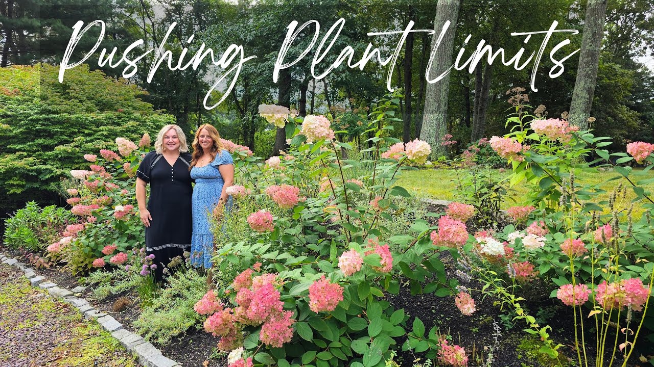 Tour A Beautiful Suburban Garden That Has Mostly Shade!