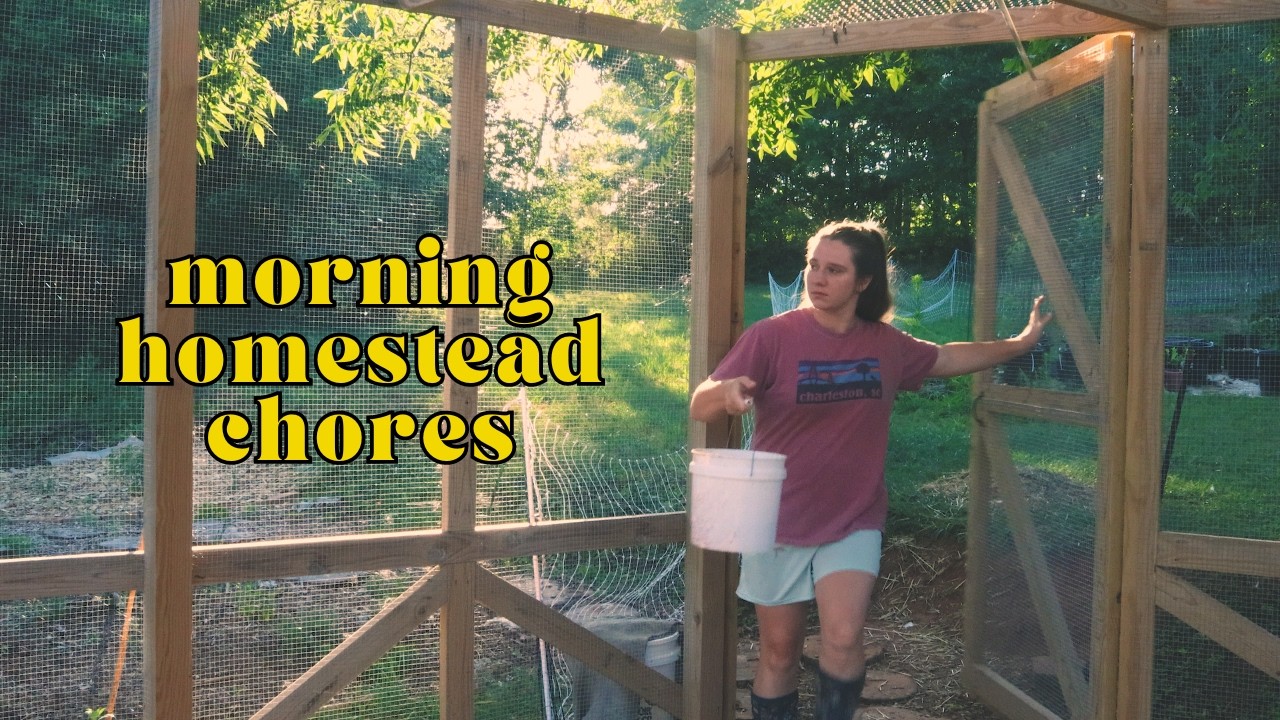 Homestead Morning Routine | Do Chores With Me