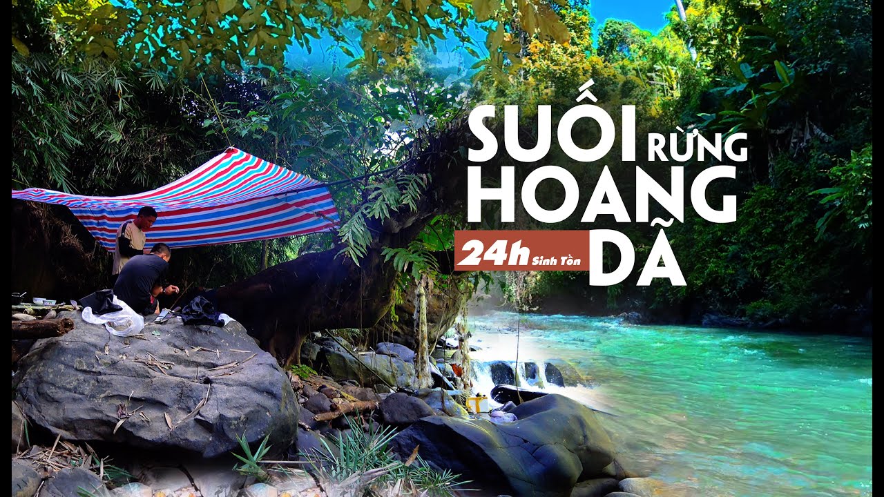 24H trải nghiệm sinh tồn, bắt cá suối, nấu ăn giữa rừng mưa nhiệt đới! | Surviving 24 hours