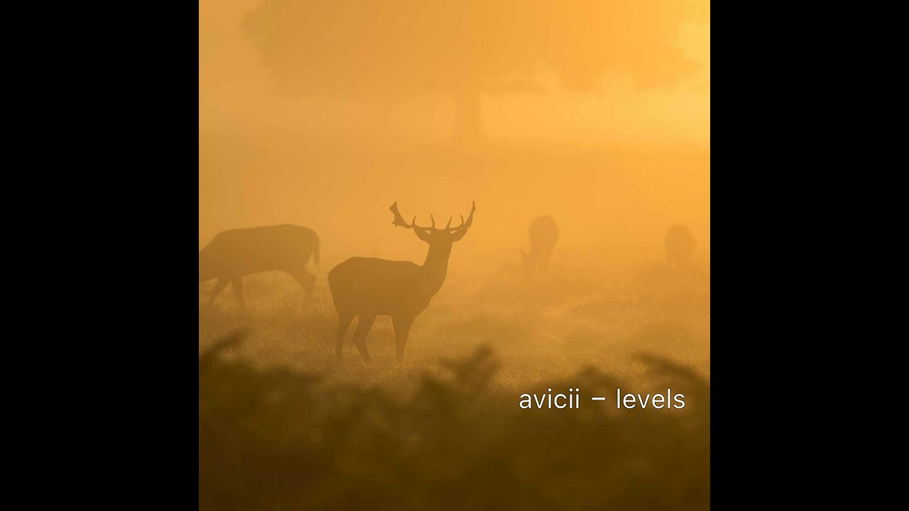 avicii - levels (slow & reverb)