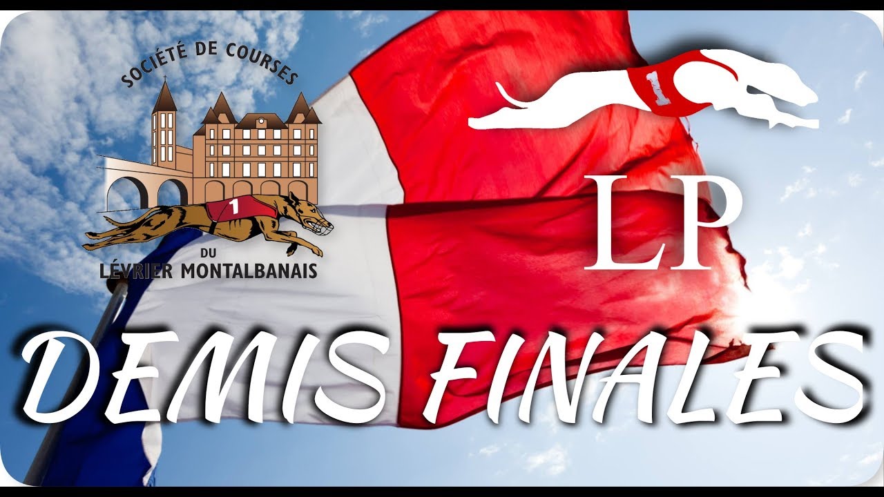 DEMIS FINALES (CHAMPIONNAT DE FRANCE 2019) 