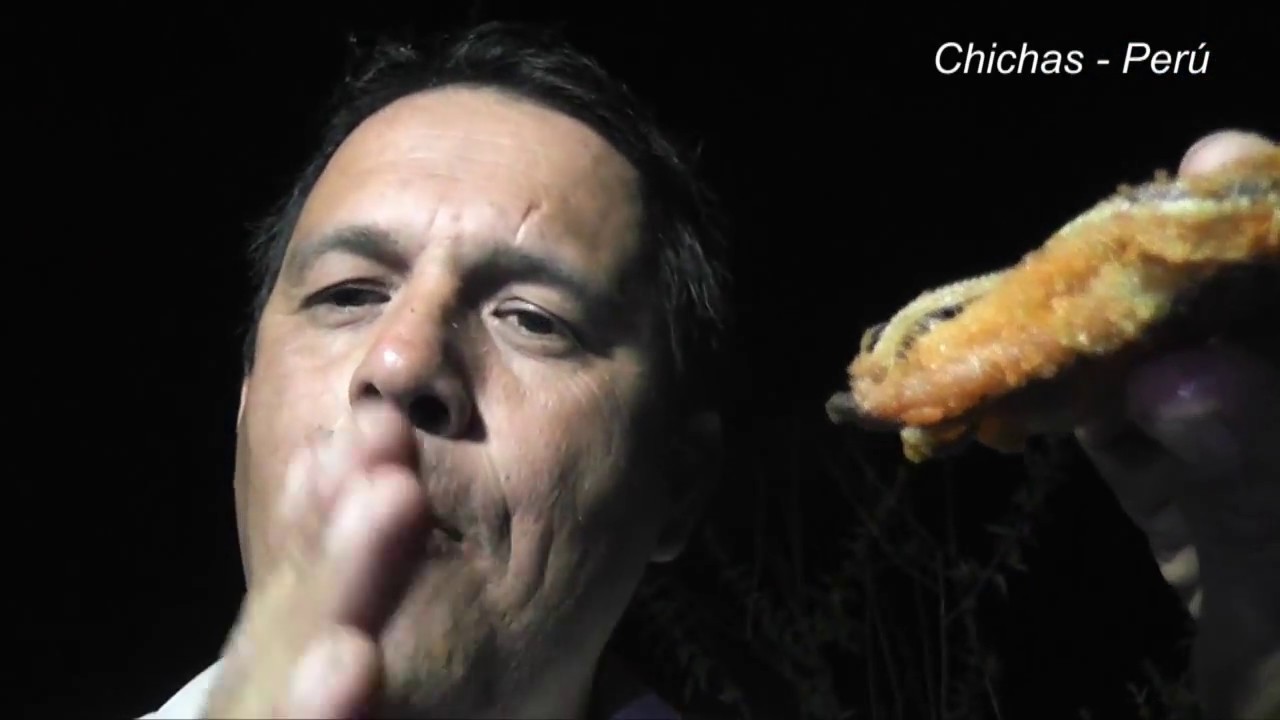 CHICHAS DOCUMENTAL 2015 - PROVINCIA DE CONDESUYOS AREQUIPA